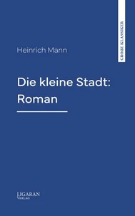 Die kleine Stadt: Roman