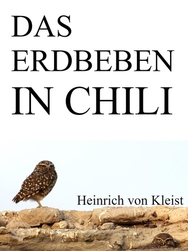Das Erdbeben In Chili Kleist Das Erdbeben in Chili de Heinrich von Kleist - ePub - Ebooks - Decitre