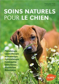 Soins naturels pour le chien