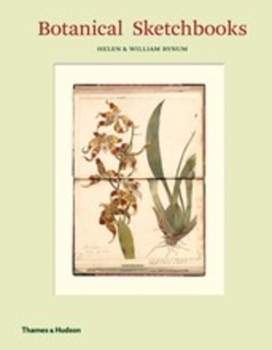 Helen Bynum - Botanical sketchbooks.