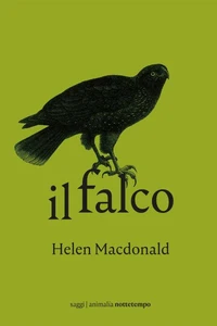 Il falco