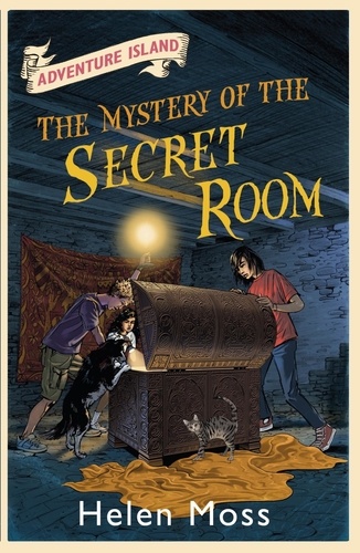 The Mystery of the Secret Room. Book 13