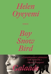Helen Oyeyemi - Boy, snow, bird.