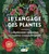 Le langage des plantes. Comment les plantes communiquent-elles ?