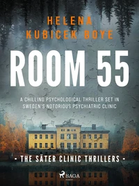 Room 55: A clever Scandi-Noir thriller set in Sweden's notorious psychiatric clinic