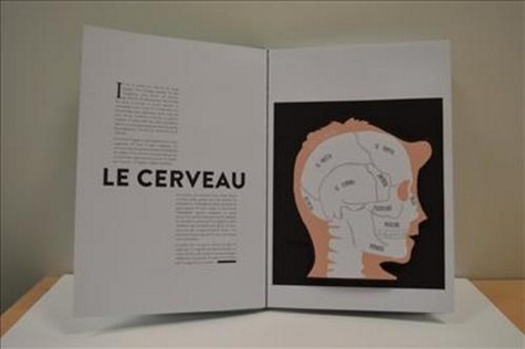 Anatomie de Hélène Druvert - Grand Format - Livre - Decitre