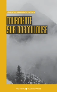 Tourmente sur Dormillouse