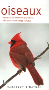 Oiseaux