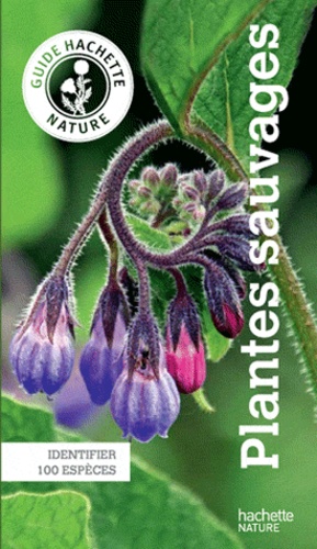 Plantes sauvages. Identifier 100 espèces