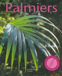 Palmiers