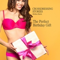  Hellen Heels - Crossdressing Stories - The Perfect Birthday Gift - Crossdresser Stories, #22.