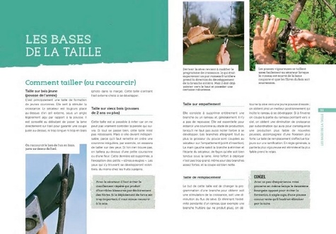 La taille des fruitiers