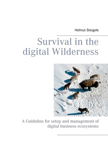 Survival in the digital Wilderness. A Guideline for setup and management of digital business ecosystems