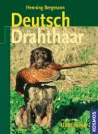 Henning Bergmann - Deutsch-Drahthaar.