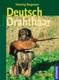 Deutsch-Drahthaar