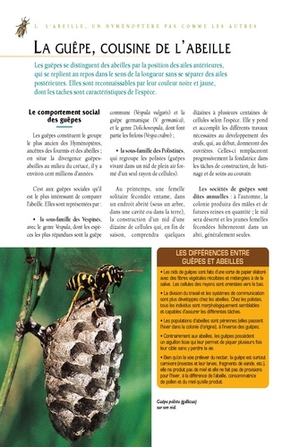Le traité Rustica de l'apiculture  Edition de luxe