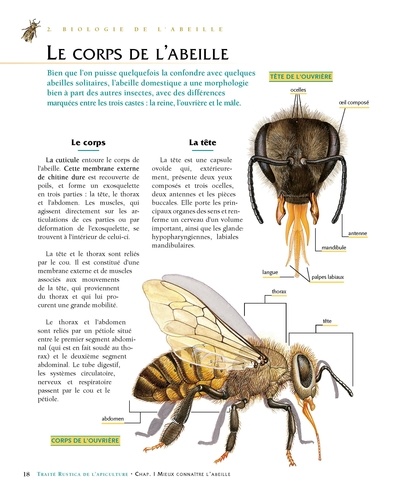 Le traité Rustica de l'apiculture  Edition de luxe