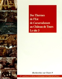 Henri Galinié et Philippe Husi - Des Thermes de l'Est de Caesarodunum au château de Tours : le site 3.
