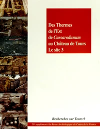 Des Thermes de l'Est de Caesarodunum au château de Tours : le site 3