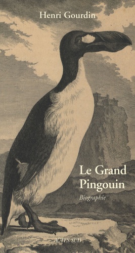 Henri Gourdin - Le Grand Pingouin - Pinguinus impennis ( -500 000 - 1844).