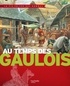 Henri Nougier et Yves Cohat - Au temps des Gaulois.
