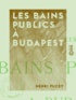 Henri Pucey - Les Bains publics à Budapest.