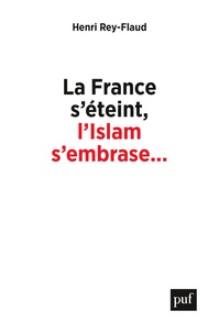 Henri Rey-Flaud - La France s'éteint, l'Islam s'embrase... - Réflexions sur un malaise.