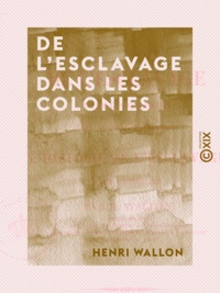 Henri Wallon - De l'esclavage dans les colonies - Pour servir d'introduction à l'Histoire de l'esclavage dans l'antiquité.