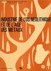 Industrie de l'os néolithique et de l'âge des métaux