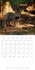 CALVENDO Animaux  Bébés animaux de nos régions (Calendrier mural 2021 300 × 300 mm Square). L'insouciance des bébés animaux photographiés sur le vif. (Calendrier mensuel, 14 Pages )
