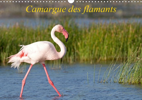 CALVENDO Animaux  Camargue des flamants (Calendrier mural 2020 DIN A3 horizontal). La Camargue, ses flamants et ses ciels magnifiques et changeants. (Calendrier mensuel, 14 Pages )