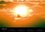 CALVENDO Animaux  Camargue des flamants (Calendrier mural 2020 DIN A3 horizontal). La Camargue, ses flamants et ses ciels magnifiques et changeants. (Calendrier mensuel, 14 Pages )