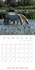 CALVENDO Animaux  Crinières au vent de Camargue (Calendrier mural 2021 300 × 300 mm Square). Camargue, terre de vents, de liberté, de soleil, blanche comme le sel, blanche comme ses chevaux. (Calendrier mensuel, 14 Pages )