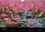 CALVENDO Animaux  Une sultane au pays du sourire (Calendrier mural 2020 DIN A4 horizontal). La talève sultane est un oiseau qui vit surtout dans les roselières. En Thaïlande on la rencontre, à certaines périodes, dans les grands champs de nénuphars roses. (Calendrier mensuel, 14 Pages )