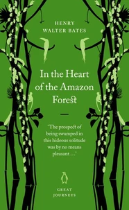 In the Heart of the Amazon Forest