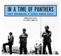 In A Time of Panthers