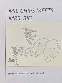 Mr. Chips Meets Mrs. Big