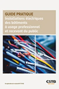 Installations électriques des bâtiments à usage professionnel et recevant du public