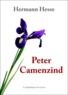 Hermann Hesse - Peter Camenzind.