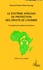 Le système africain de protection des droits de l'homme. Un système en quête de cohérence