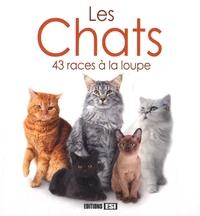 Les chats.