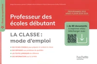 Professeur des écoles débutant