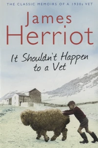 It Shouldn't Happen to a Vet