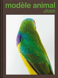 Modèle animal