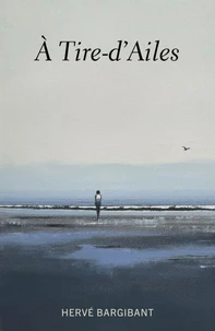 À tire-d'ailes
