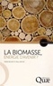 Hervé Bichat et Paul Mathis - La biomasse, énergie d'avenir ?.