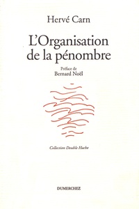 Hervé Carn - L'organisation de la pénombre.