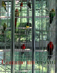 Comme Un Oiseau