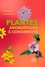 Plantes aromatiques & condiments