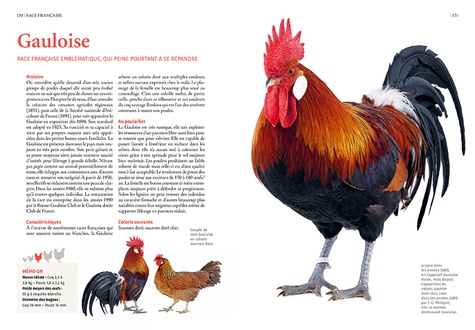 Guide des races de poules. 130 races françaises & étrangères